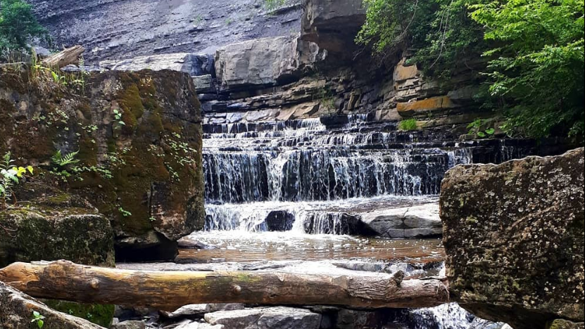 Rockway Falls cascading over rocky terraces in Rockway Conservation Area, Niagara Region.