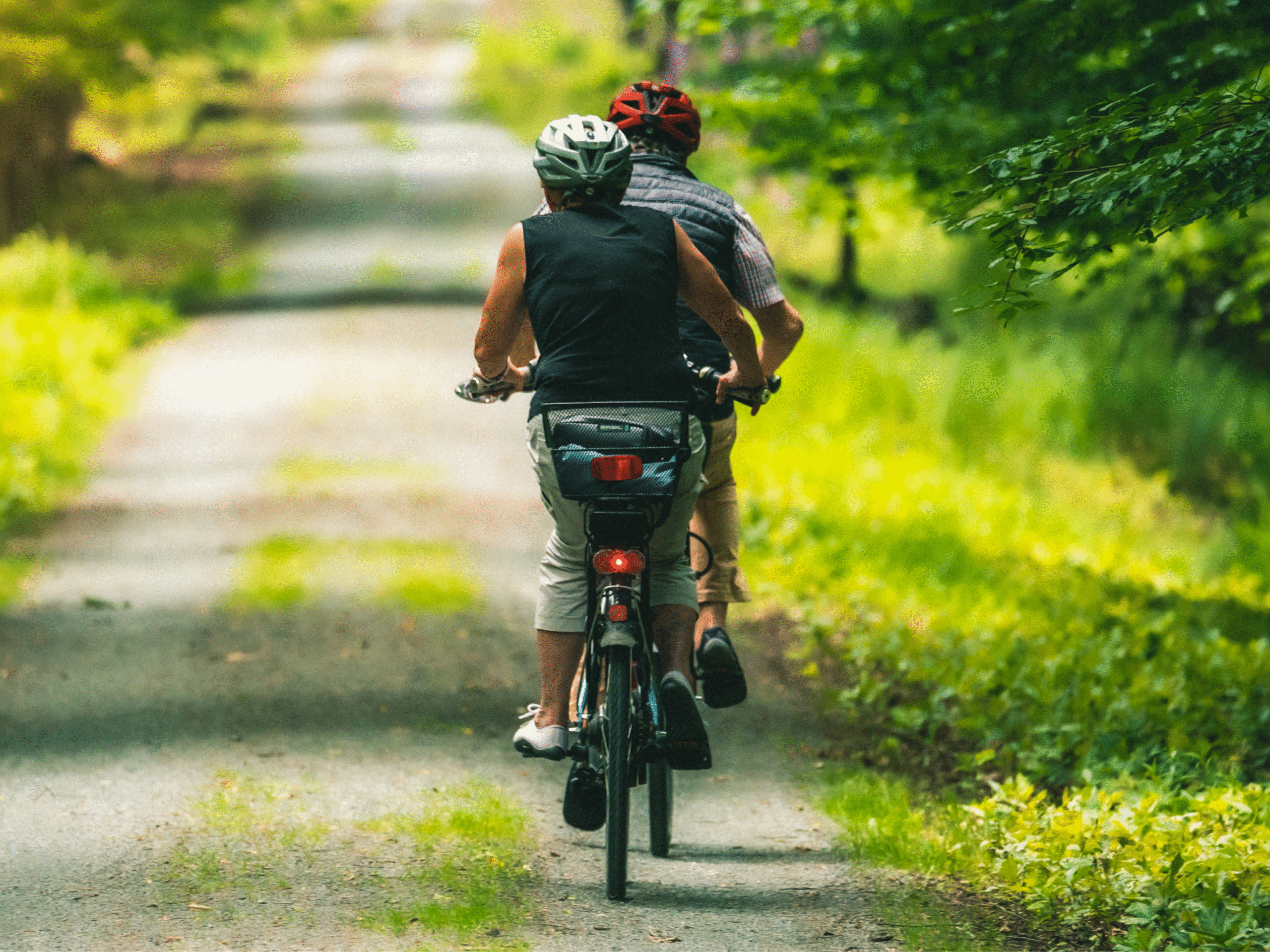 Couple cycling on a forest trail in Niagara Region