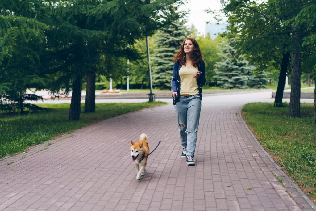 Woman walking her dog on a tree-lined path in a quiet park.
